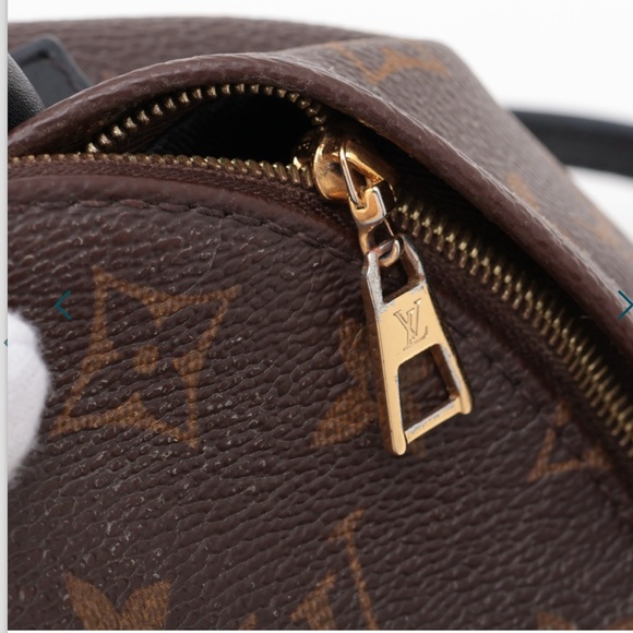 Louis Vuitton Palm Spring Mini Backpack - Picture 4 of 15